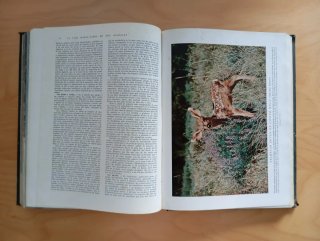 5 libros Instituto Gallach