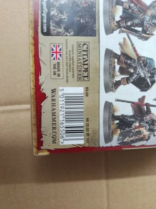 Warhammer Age of Sigmar Chaos Warriors