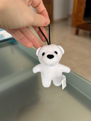 Osito polar, nuevo