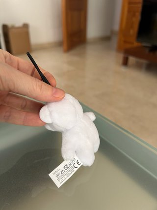 Osito polar, nuevo