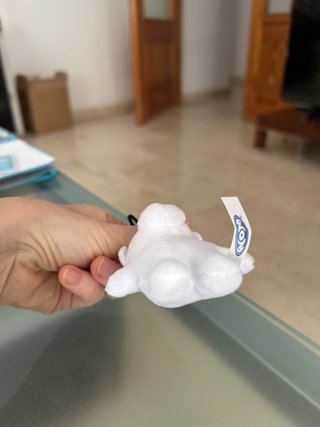 Osito polar, nuevo