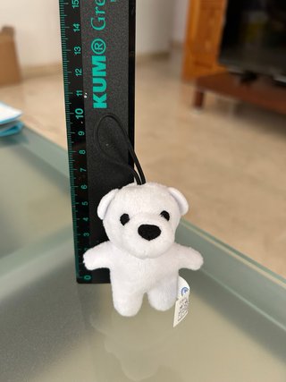 Osito polar, nuevo