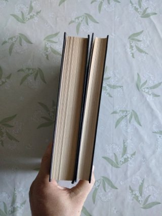 Dos libros El Señor de los Anillos - Tolkien