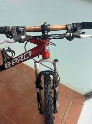 Bicicleta B-Pro ZS2