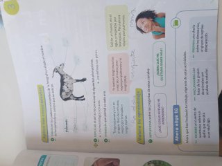 Ciencias de la naturaleza, 3 Primaria