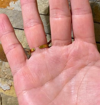 Anillo Surya