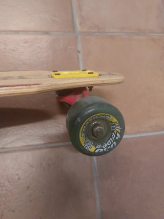 Longboard Santa Cruz