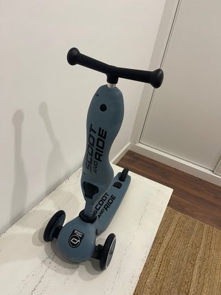 Patinete 2 en 1 Scoot and Ride