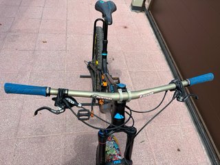 Bicicleta Canyon Strive