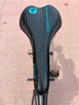 Bicicleta Canyon Strive