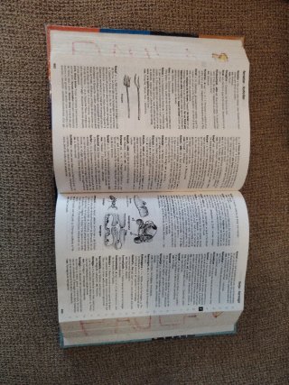 NOU DICCIONARI ESCOLAR DE LA LLENGUA CATALANA C...