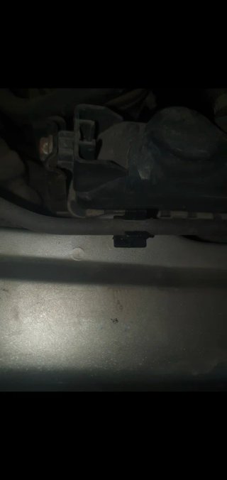 Pegatina + Clip Varilla Capó Suzuki Vitara