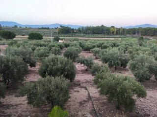 Finca con casa