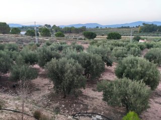 Finca con casa