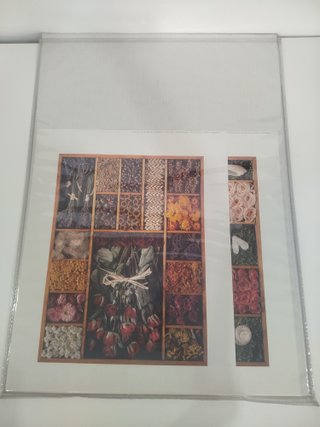 Lote cartucheras para láminas