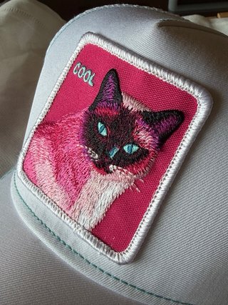 Gorra Caphunters Gato Rosa Cool Edición limitada