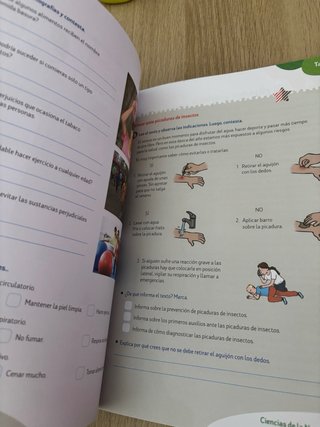 Cuaderno de repaso 6 primaria