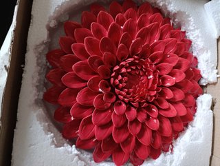 Flor Cerámica Roja Decoración Grande