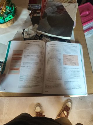 Lengua castellana y literatura, 2 Bachillerato