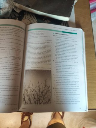 Lengua castellana y literatura, 2 Bachillerato
