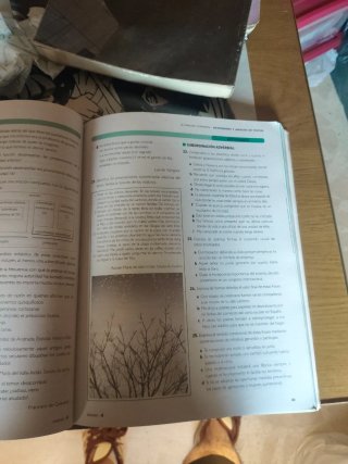 Lengua castellana y literatura, 2 Bachillerato