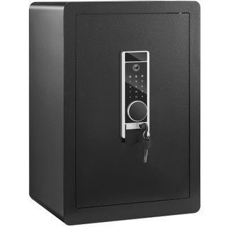 Cassaforte Domestica con Impronta Digitale 62L
