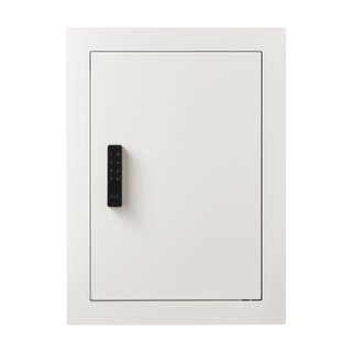 Cassaforte a Muro in Acciaio Password e Chiave