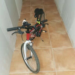 Bicicleta de niño de 20 pulgadas