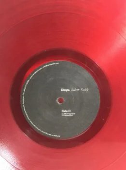 Diego - Instant Reality VINILO