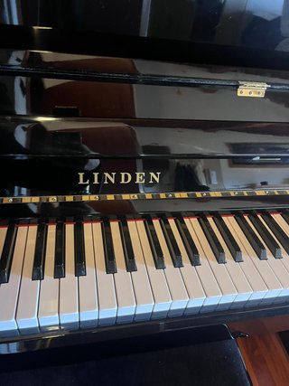 Pianoforte a muro Linden nero lucido