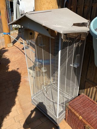 Jaula para pájaros y loros