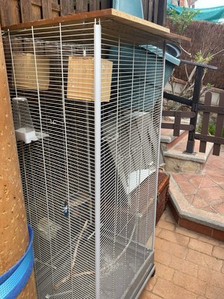 Jaula para pájaros y loros