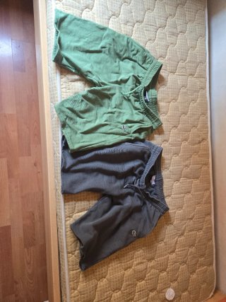 Shorts sportivi Lacoste verdi