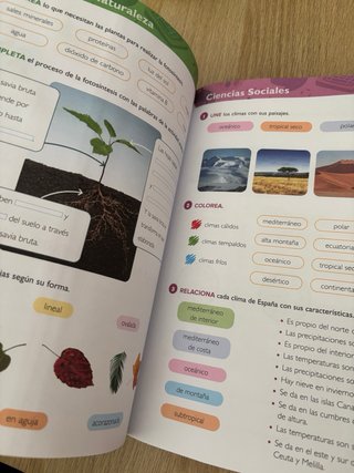 Cuaderno de repaso 4 primaria