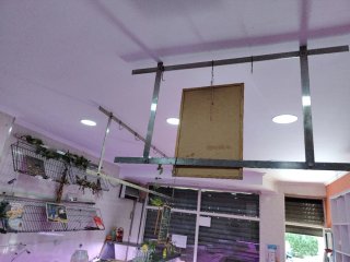 Maquinaria y mobiliario de carnicería