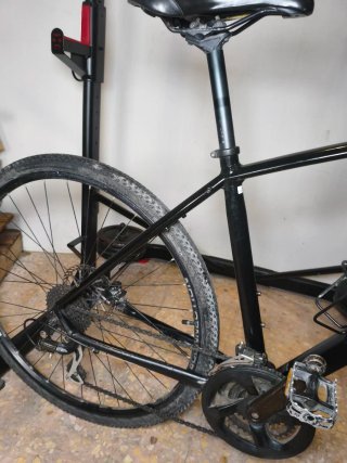 Trek Dual Sport 2 L