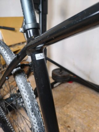 Trek Dual Sport 2 L