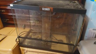 Terrario Reptil Pequeño + Manta Eléctrica
