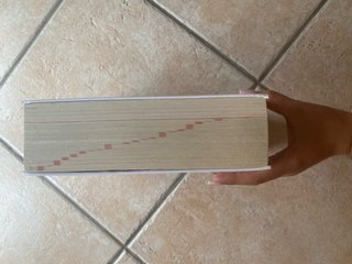 Il vocabolario della lingua latina.