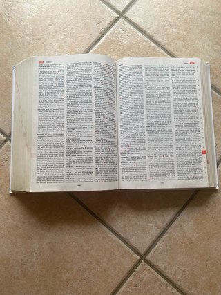 Il vocabolario della lingua latina.
