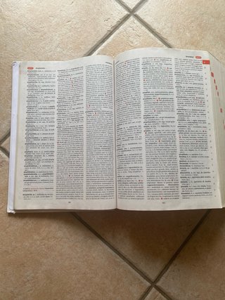 Il vocabolario della lingua latina.