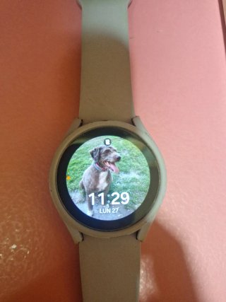 Samsung Galaxy Watch 5 Gris