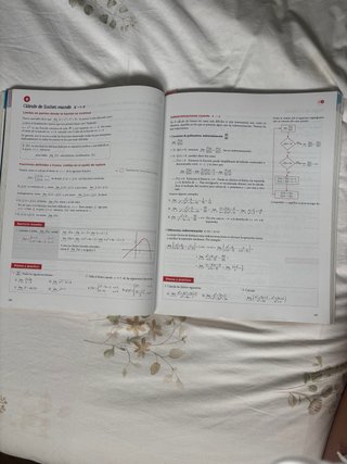 Matemáticas aplicadas a las Ciencias Sociales I...