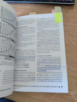 TEORÍA Y PLANIFICACIÓN DEL ENTRENAMIENTO DEPORT...