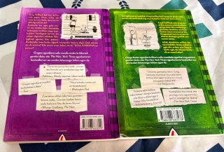 Lote 2 libros del Diario de Greg en EUSKERA