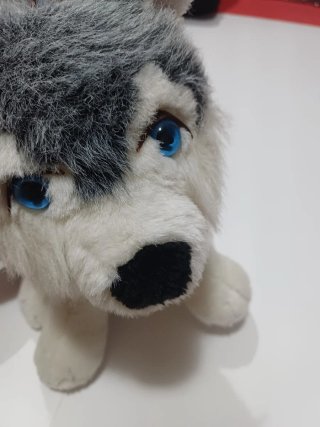 Peluche Husky Siberiano Grande