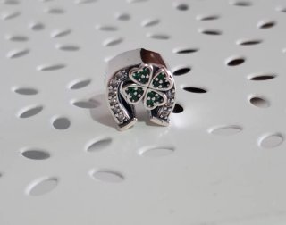 Charm Herradura Trébol Verde y Plata