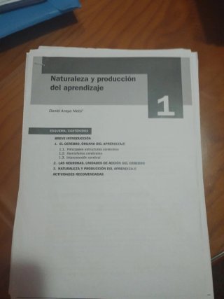 Aprendizaje y desarrollo en la infancia UNED
