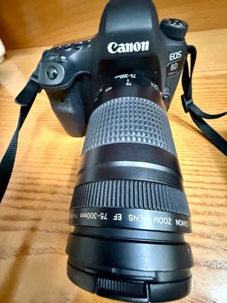 Cámara Canon EOS 6D Mark II Negra