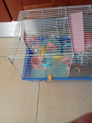 Jaula para roedores con accesorios